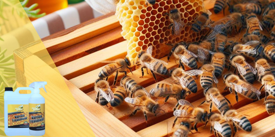 Adieu varroa, bonjour ruches saines : Guide complet des traitements