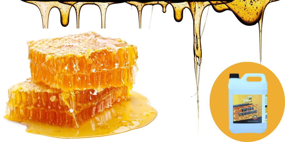 Apiculture : Alerte baisse de production de miel !