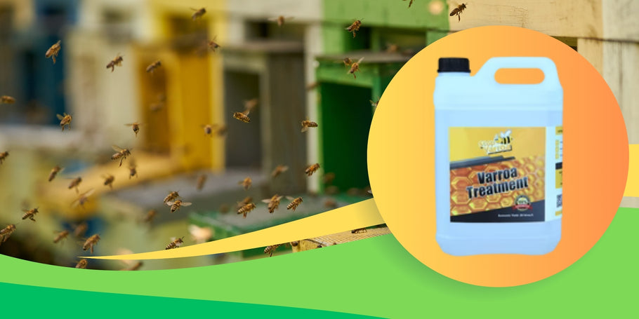 Découvrez Stop Varroa, le traitement anti-varroa efficace et sans risque que vous recherchez !