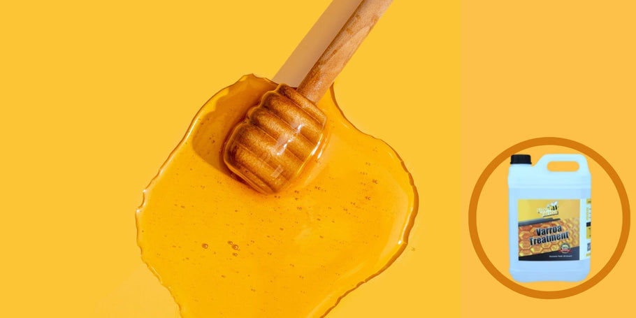 L'énigme du miel disparu : diagnostiquer les problèmes de production de votre miel