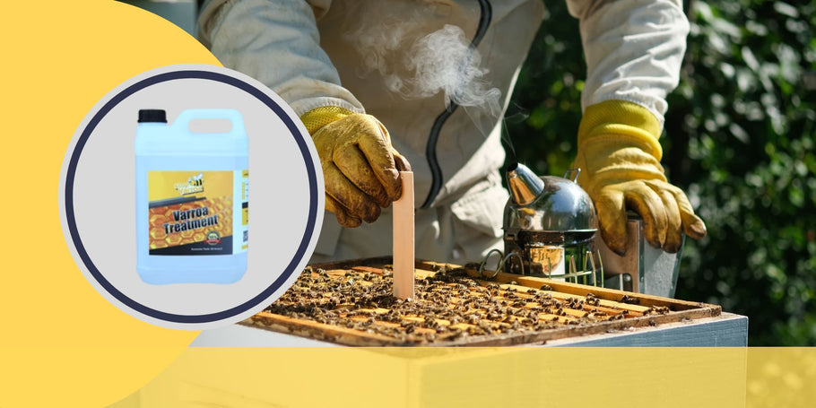 Lutte contre le Varroa : les moments clés pour préserver la santé des abeilles