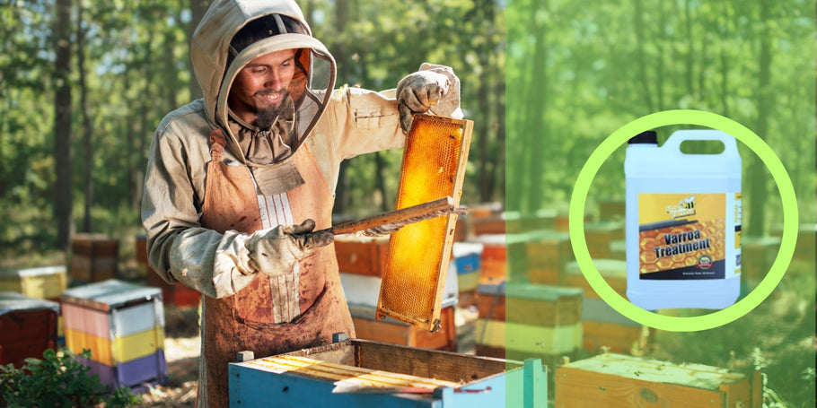 Traitement anti-Varroa : Protégez vos abeilles et boostez votre production de miel
