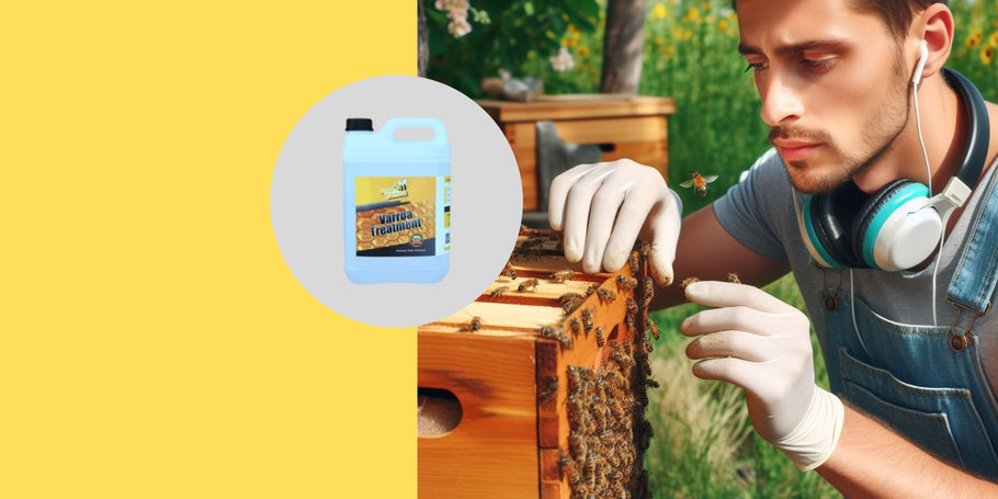 Varroa : comment les apiculteurs professionnels gèrent-ils ce parasite ?
